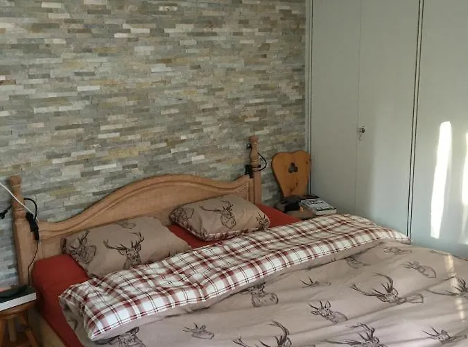 Choucas A16 * 克莱恩 蒙塔纳